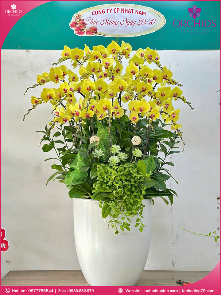 Chậu hoa lan hồ điệp vàng 20 cành V513