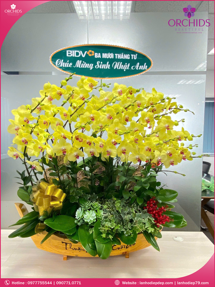 Chậu hoa lan hồ điệp vàng 25 cành