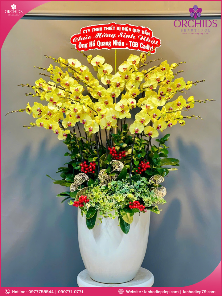 Chậu hoa lan hồ điệp vàng 25 cành