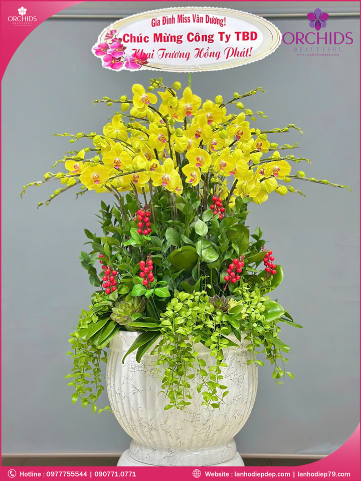 Chậu hoa lan hồ điệp vàng 25 cành