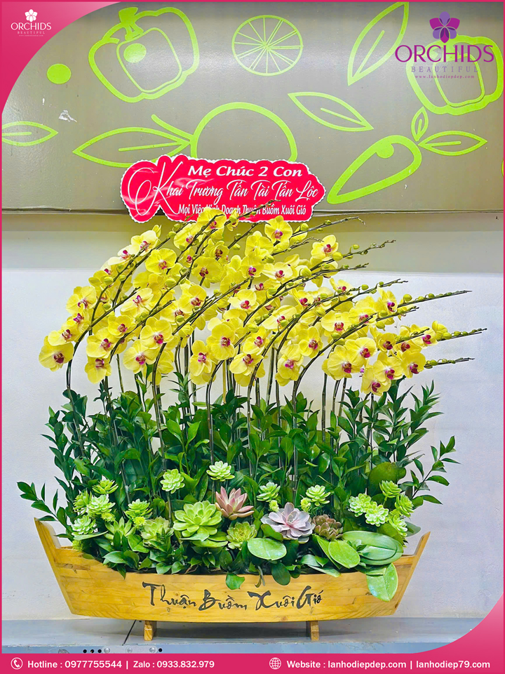 Chậu hoa lan hồ điệp vàng 25 cành V514