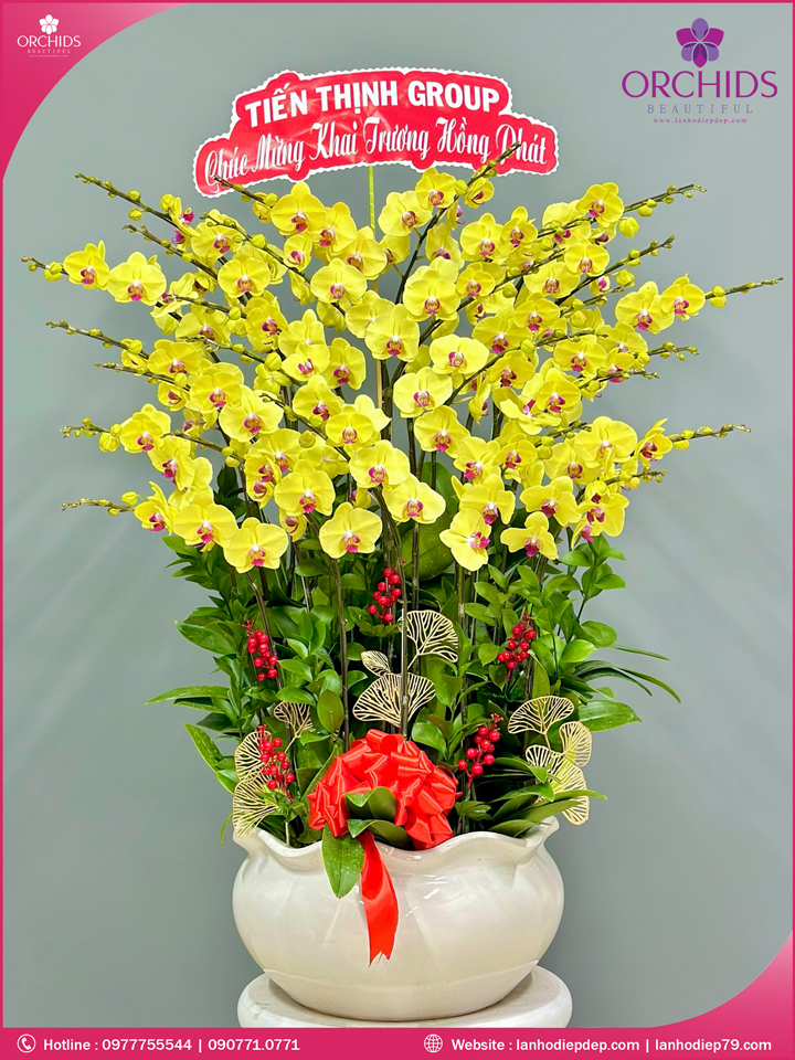 Chậu hoa lan hồ điệp vàng 26 cành
