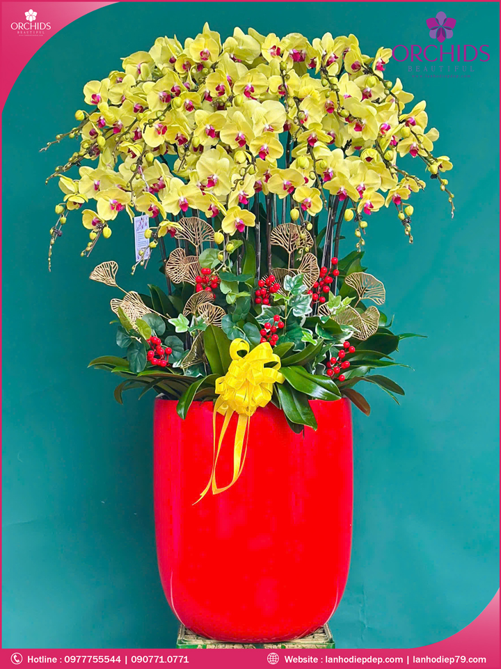 Chậu hoa lan hồ điệp vàng 28 cành