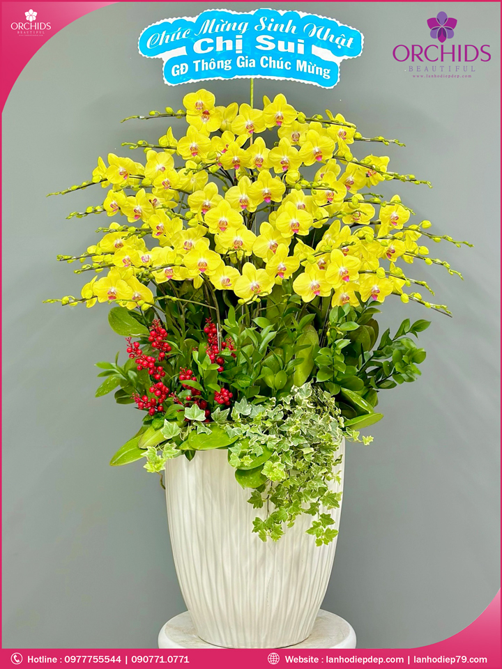 Chậu hoa lan hồ điệp vàng 30 cành