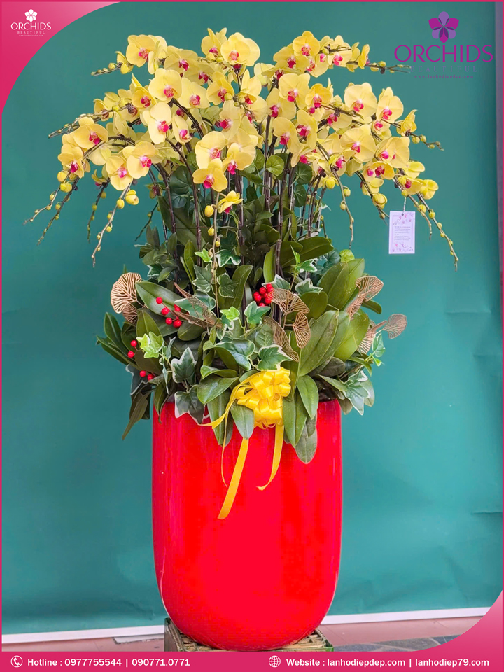Chậu hoa lan hồ điệp vàng 30 cành