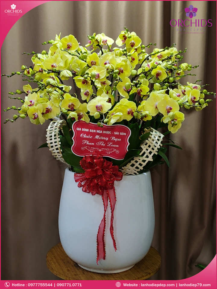 Chậu hoa lan hồ điệp vàng 30 cành