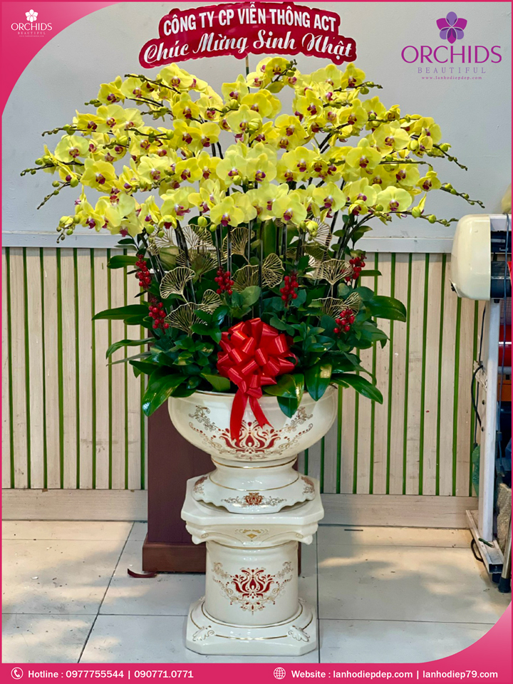 Chậu hoa lan hồ điệp vàng 35 cành