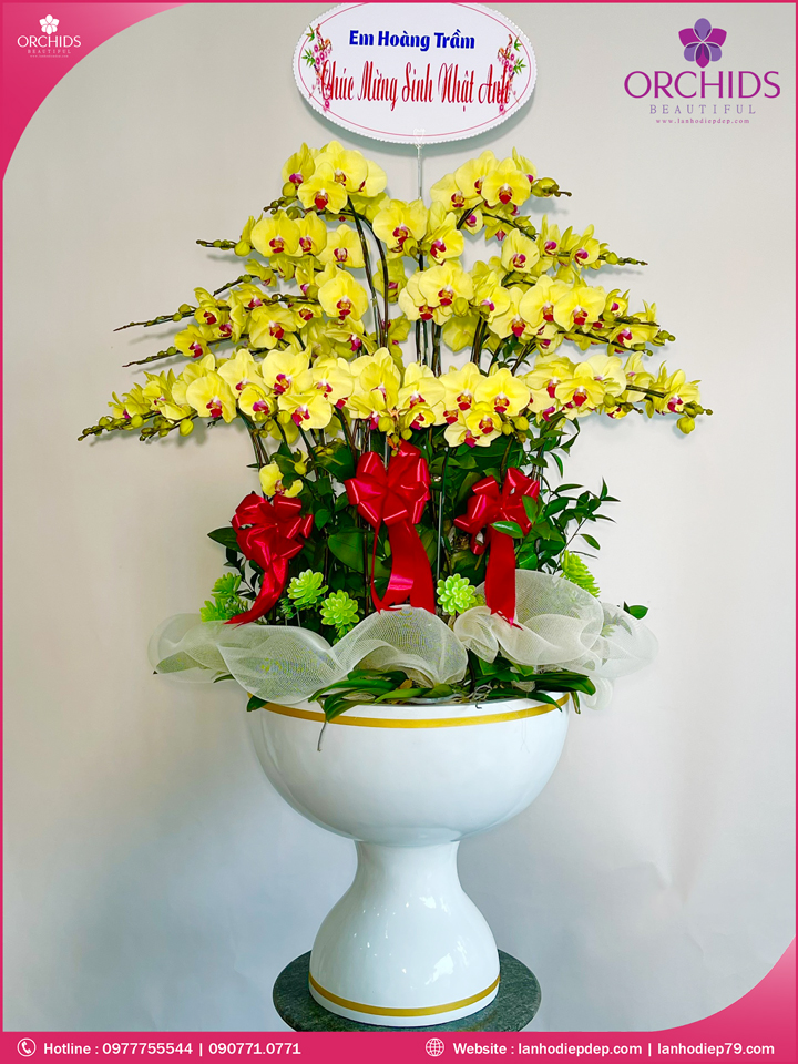 Chậu hoa lan hồ điệp vàng 35 cành