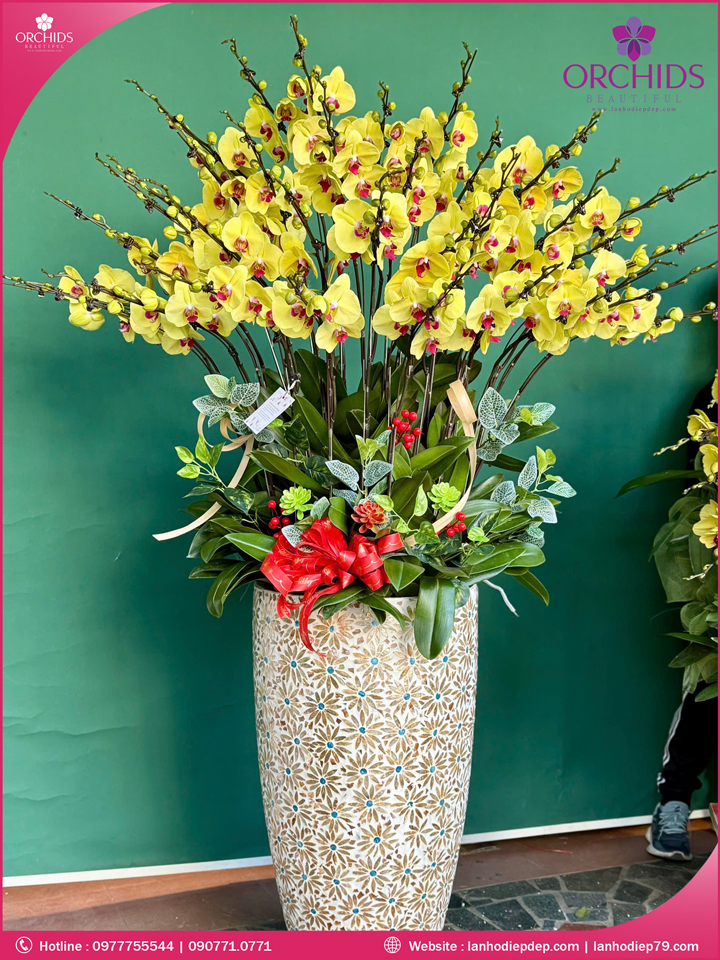 Chậu hoa lan hồ điệp vàng 35 cành