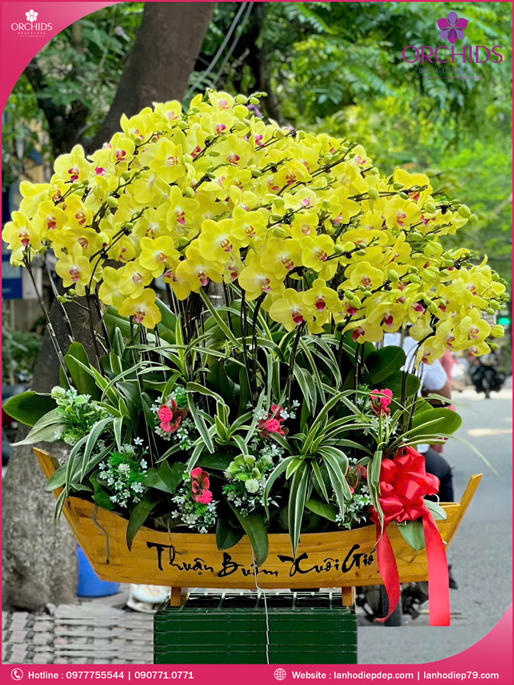 Chậu hoa lan hồ điệp vàng 39 cành