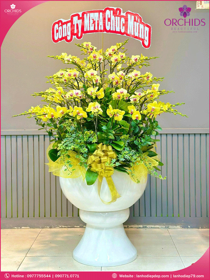 Chậu hoa lan hồ điệp vàng 60 cành
