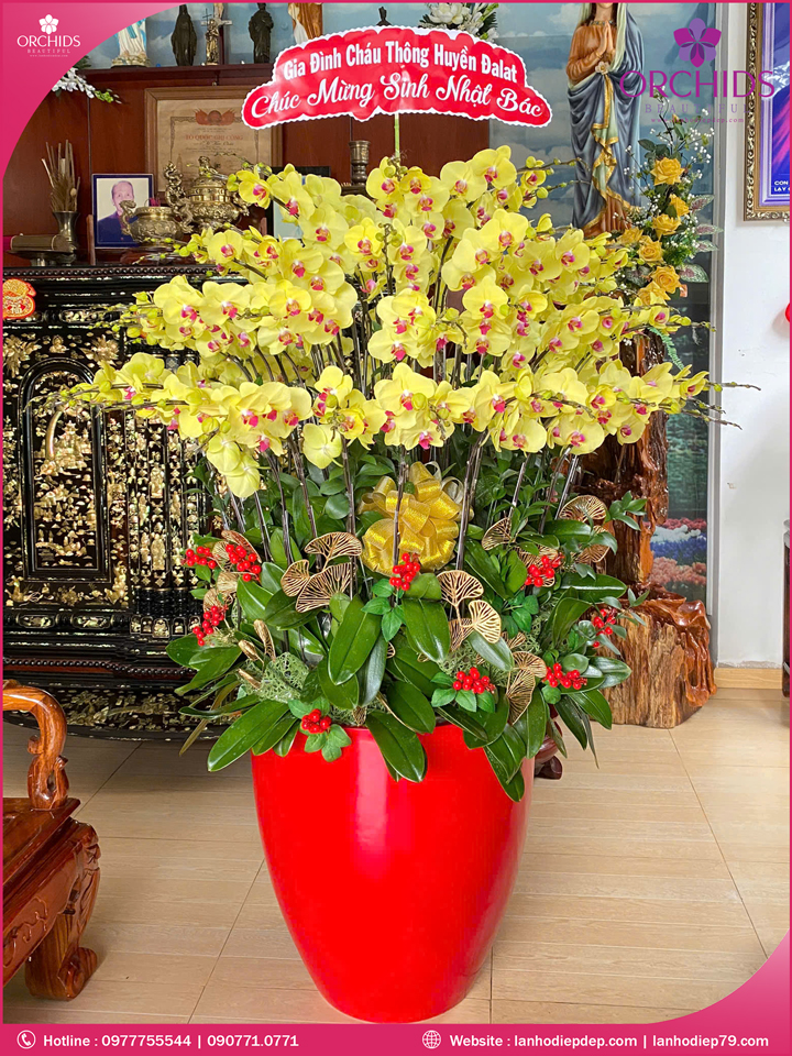 Chậu hoa lan hồ điệp vàng 60 cành