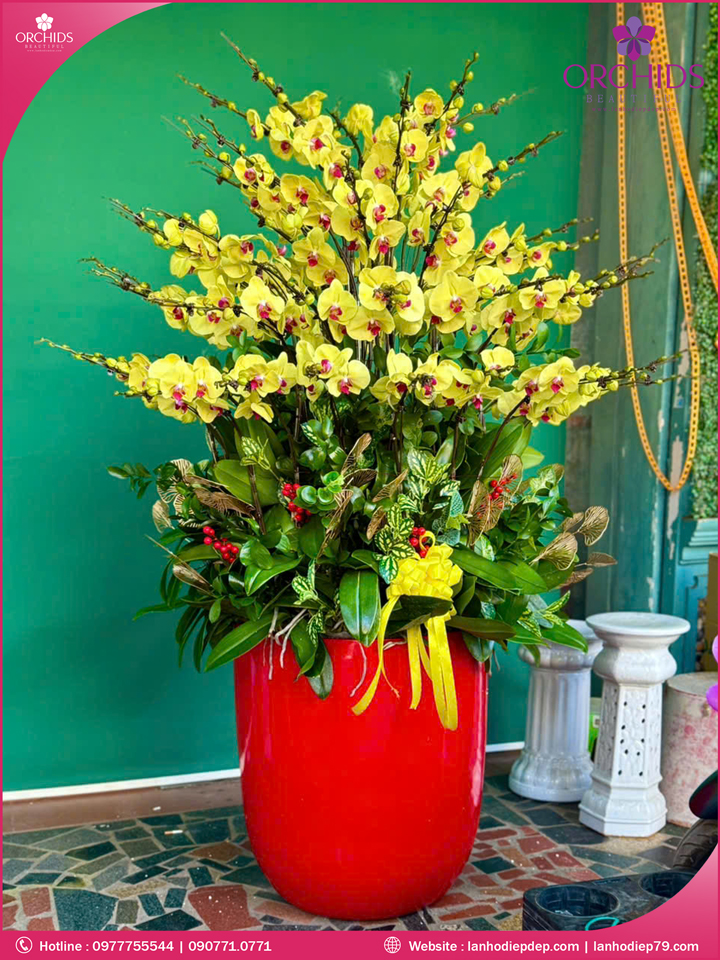 Chậu hoa lan hồ điệp vàng 60 cành
