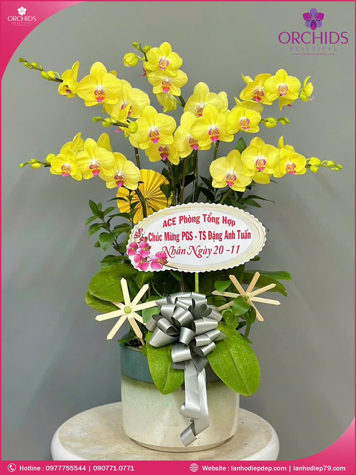 Chạu hoa lan hồ điệp vàng 7 cành