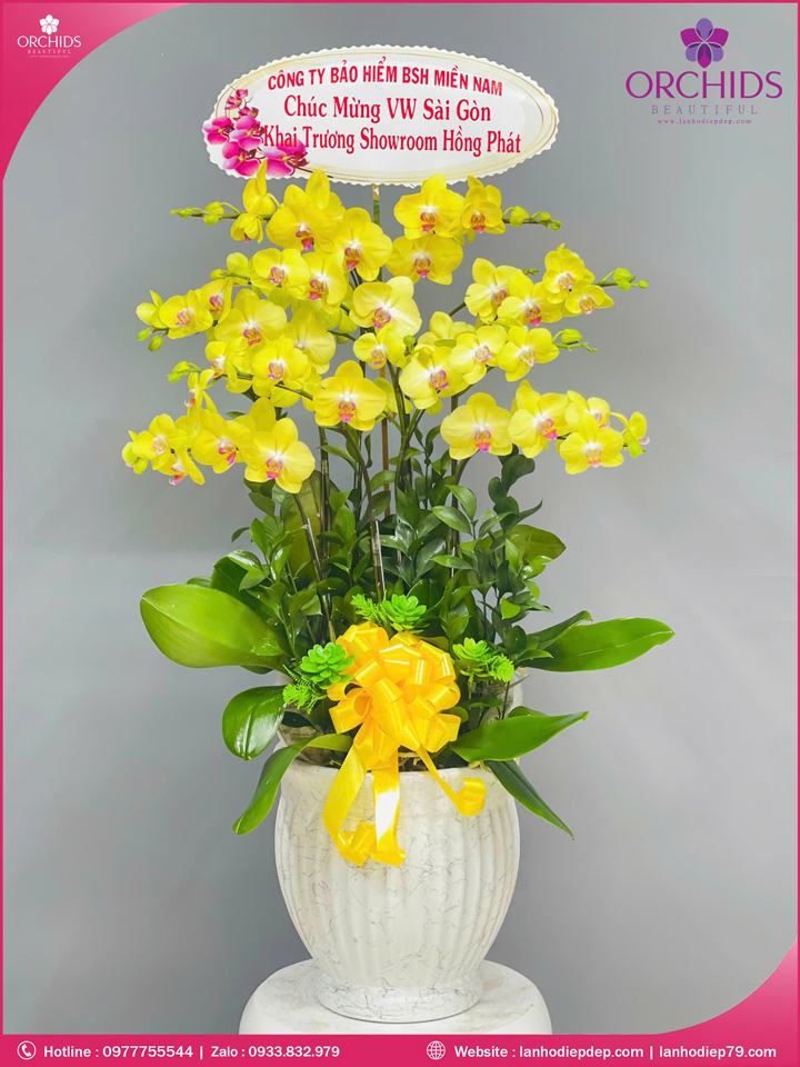 Chậu hoa lan hồ điệp vàng 8 cành V495