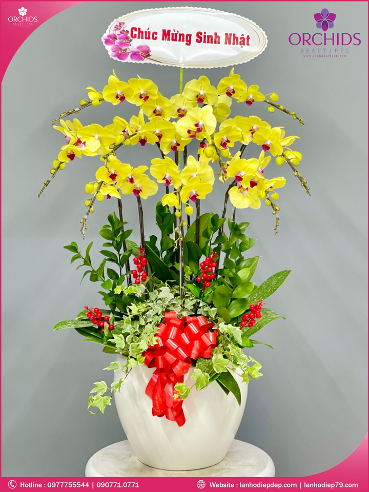 Chậu hoa lan hồ điệp vàng 9 cành