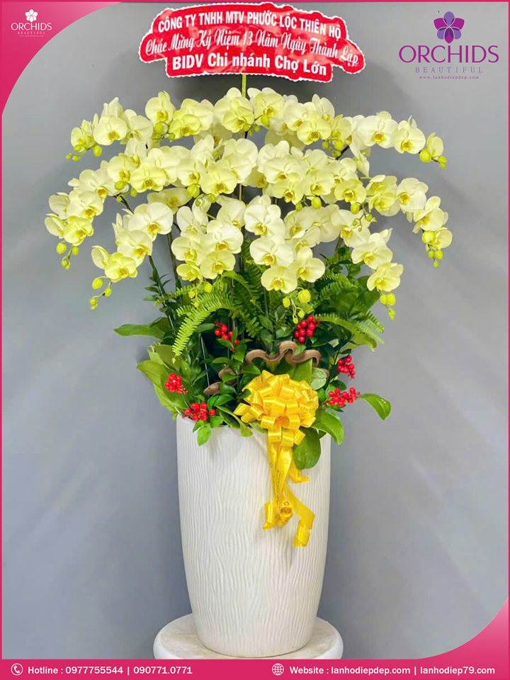 Chậu hoa lan hồ điệp xanh 15 cành