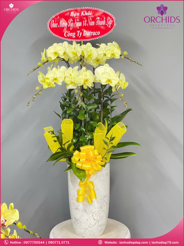 Chậu hoa lan hồ điệp xanh táo 6 cành