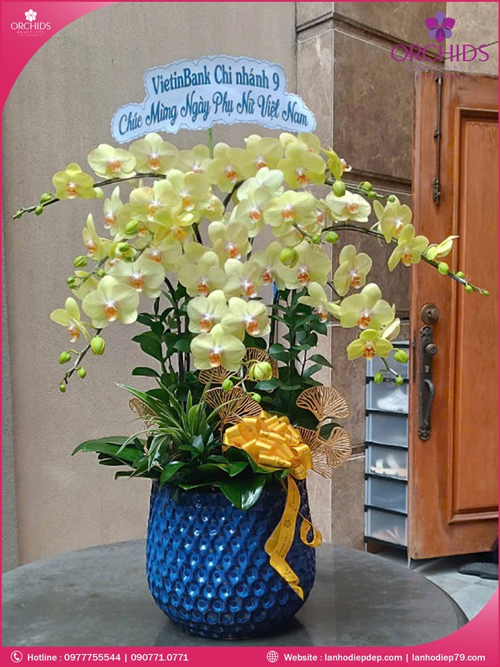 Chậu hoa lan hồ điệp xanh táo 9 cành