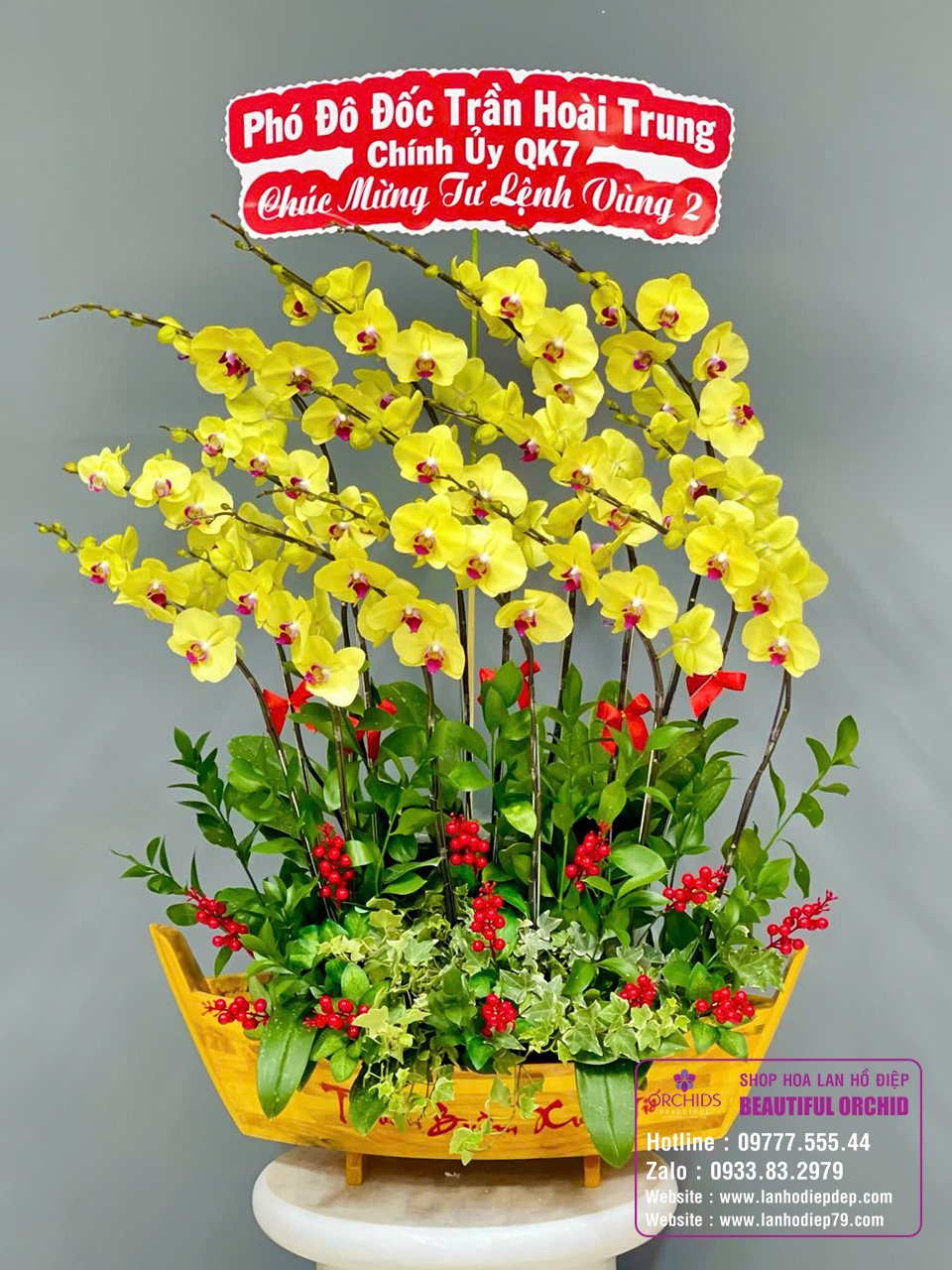 Chậu lan hồ điệp màu vàng chơi tết