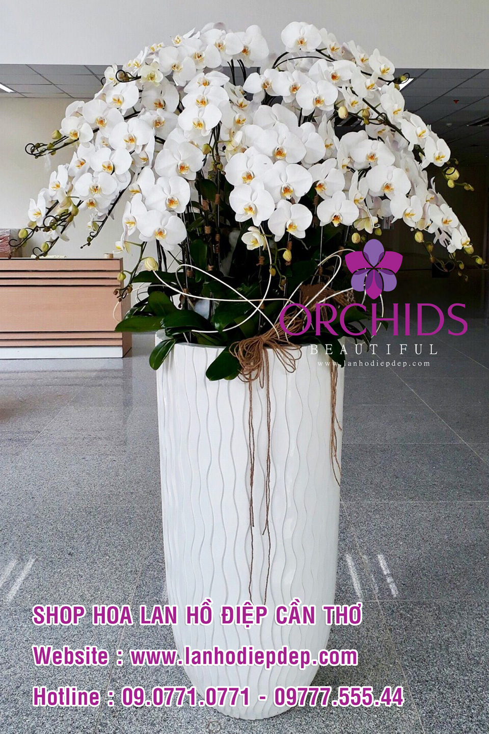 Shop hoa lan đẹp tại Cần Thơ