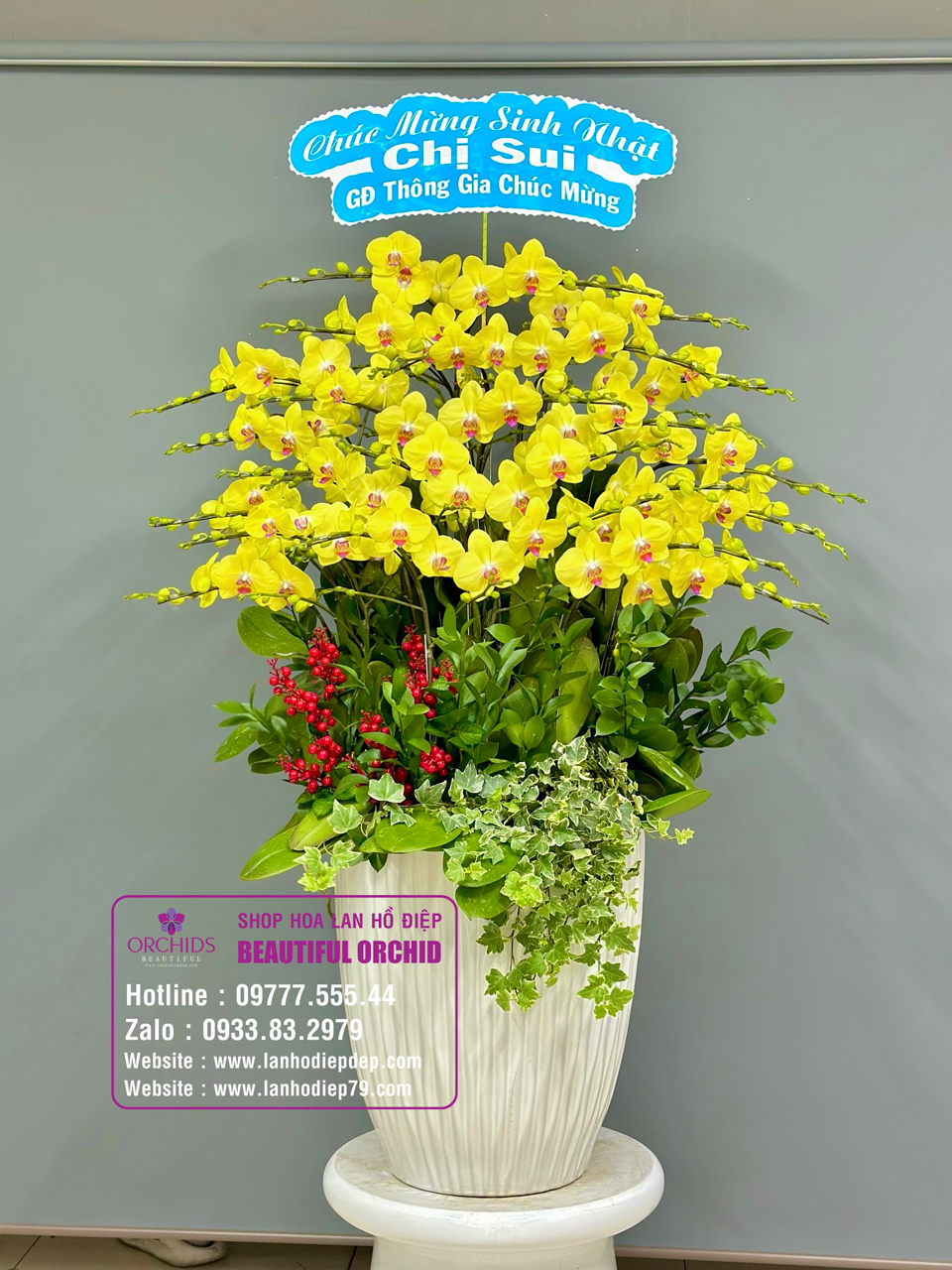 Chậu lan hồ điệp chúc Tết gửi lời nhắn yêu thương tới đối tác