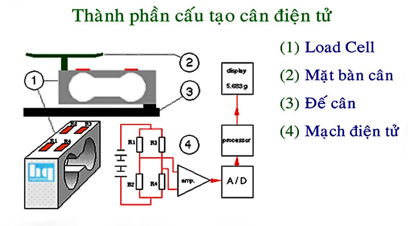 Cấu tạo cơ bản của một hệ thống cân điện tử