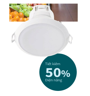 Đèn Philips Essglo 080/090/105/125