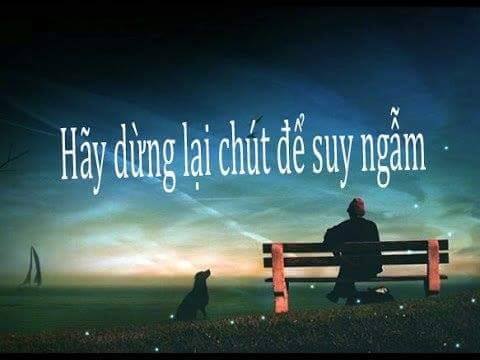 Hãy dừng lại chút để suy ngẫm