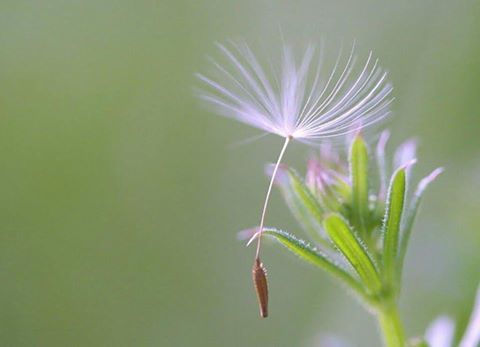 Những câu nói thâm thúy trong cuộc sống!