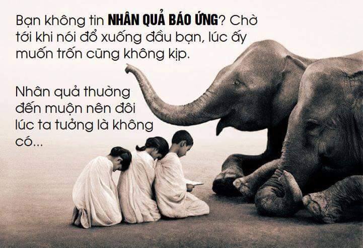 Luật nhân quả không bỏ sót một ai!!