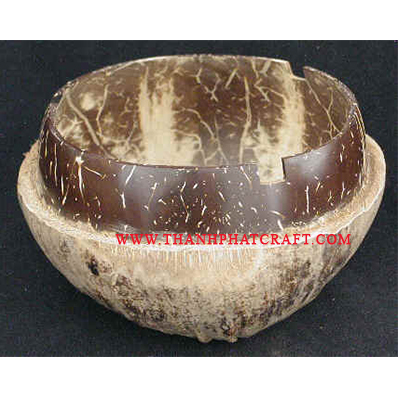 Coconut shell ash-tray