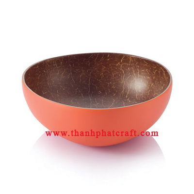 coconut shell bowl