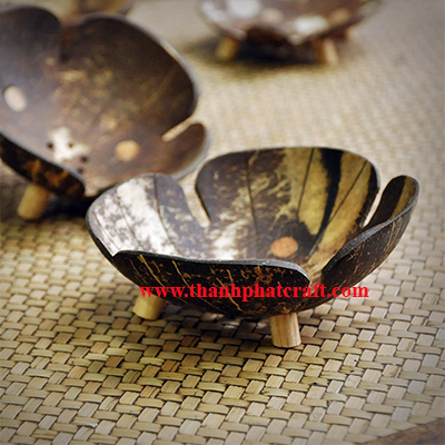 coconut shell soap dish