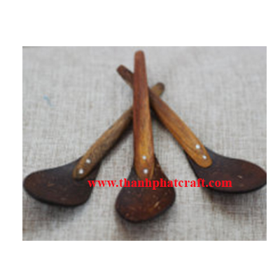 Coconut shell spoon