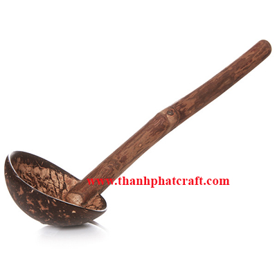 Coconut shell spoon