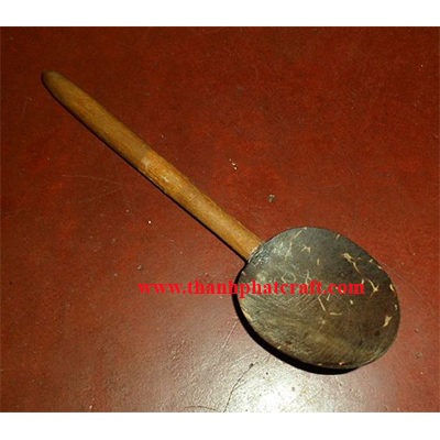 Coconut shell spoon