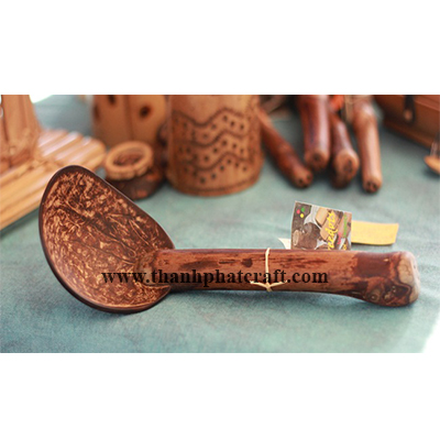 Coconut shell spoon