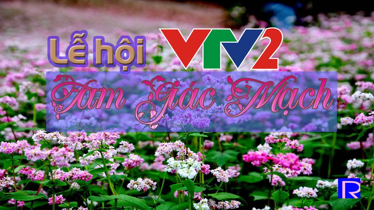 lễ hội hoa tam giác mạch năm 2017