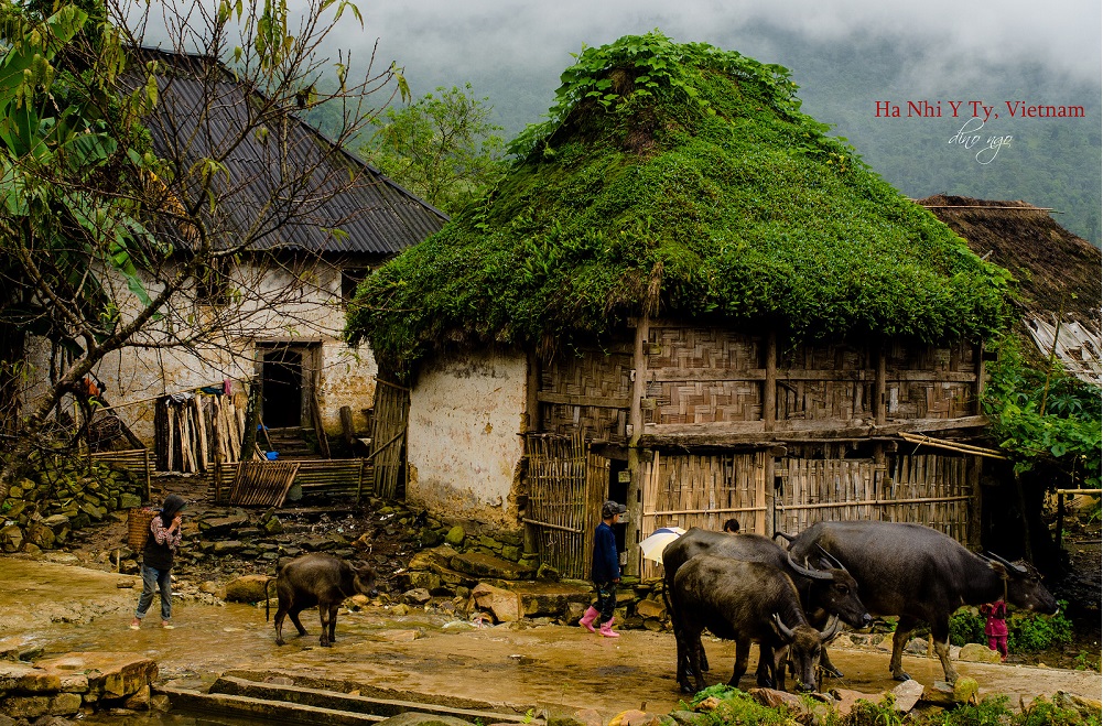 y tý săn mây