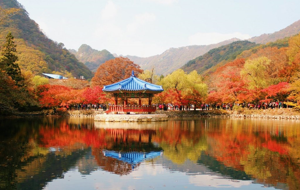 8 trải nghiệm không thể bỏ lỡ với mùa thu Hàn Quốc 