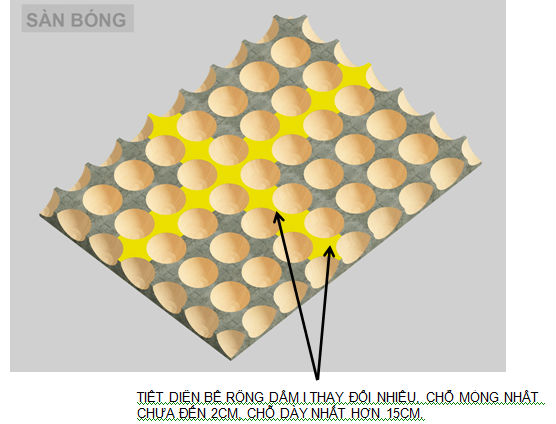 hệ sườn trực giao của sàn bóng