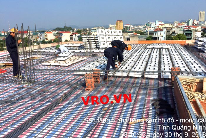 sàn-vượt-nhịp-lớn-3DVRO