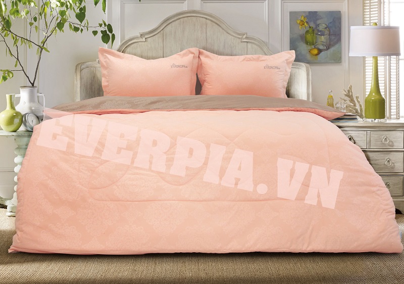 Bộ chăn ga gối Everon Lite EVE16