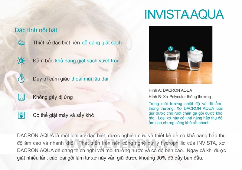 Ruột Gối Everon Invista Aqua