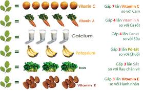 Kết quả hình ảnh cho hàm lượng dinh dưỡng chùm ngây