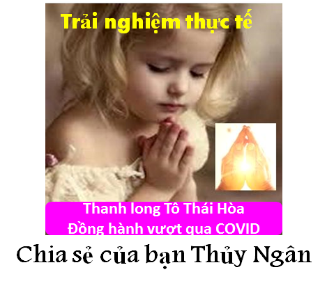 TOTHA | Thực Dưỡng Sạch Chức Năng | Sức khỏe là Vàng