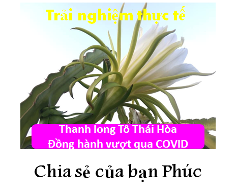 TOTHA | Thực Dưỡng Sạch Chức Năng | Sức khỏe là Vàng