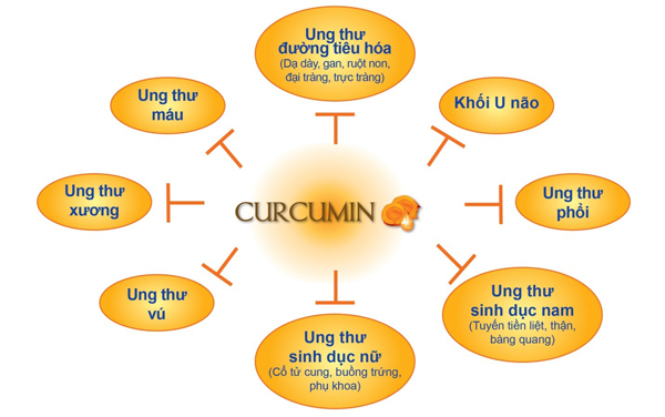 http://bizweb.dktcdn.net/100/113/267/files/curcumin.jpg?v=1641995177218