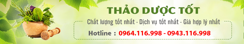 Banner dài ngang